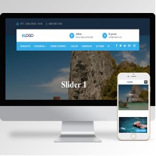 Danışmanlık Teması v3